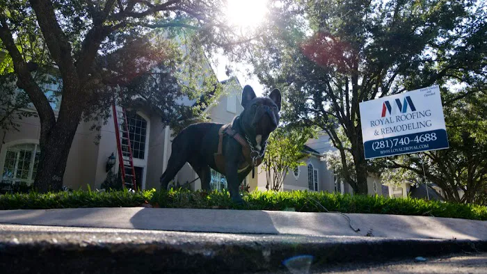 Royal Roofing and Remodeling Picture 5