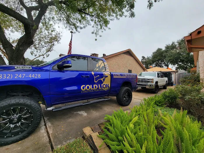 Gold Lion Construction Solutions LLC Picture 3