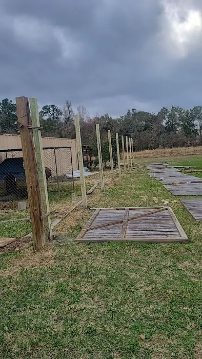 Blue Rhino Roofing and Solar Picture 4