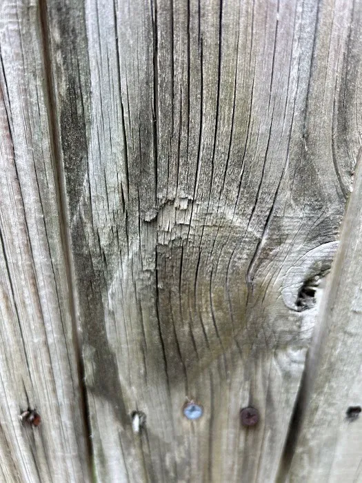 Blue Rhino Roofing and Solar Picture 9