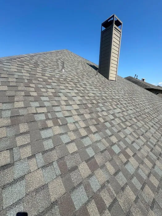 Level Up Roofing & Construction Picture 5