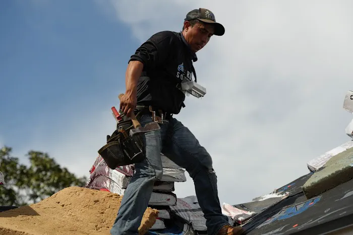 Vlex Roofing Picture 1