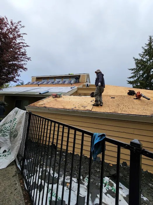 M-Pax Roofing Picture 6