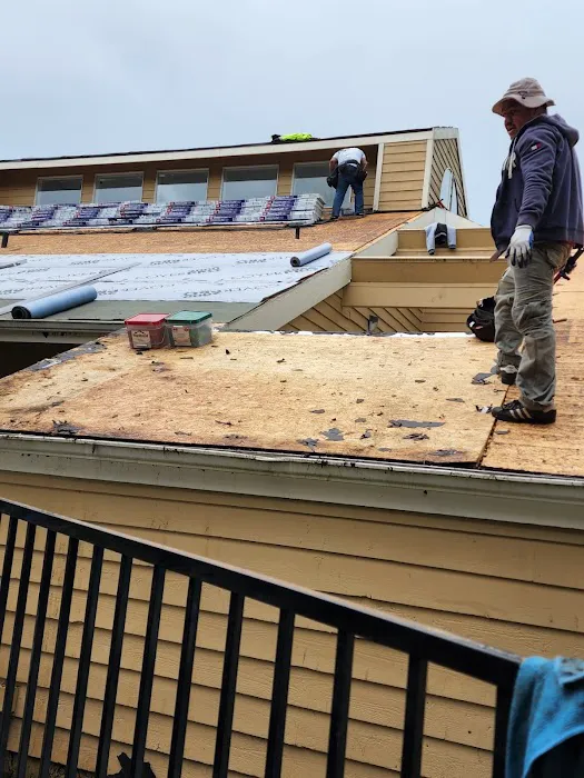 M-Pax Roofing Picture 4