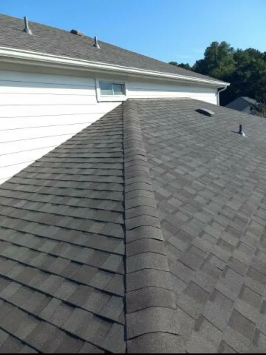 M-Pax Roofing Picture 2