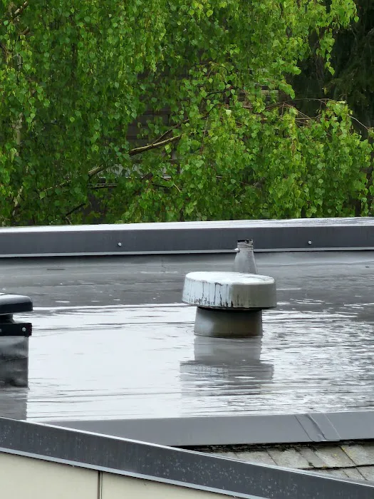 M-Pax Roofing Picture 10