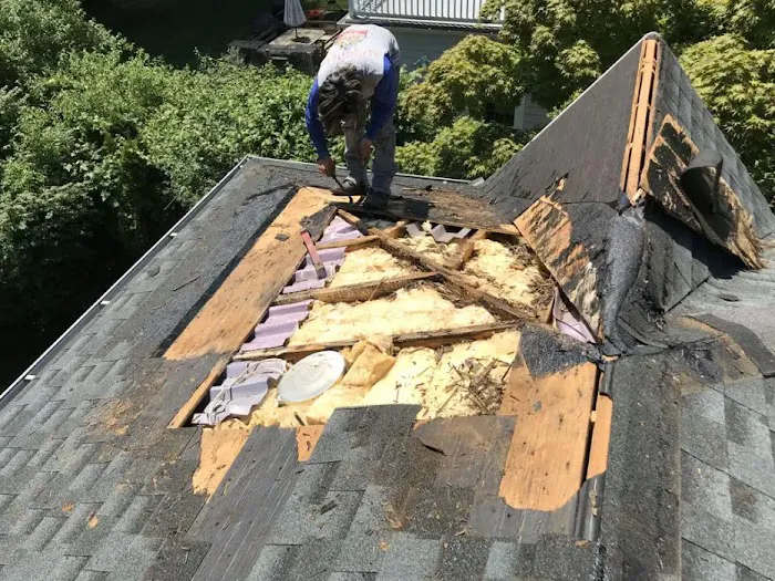 Dennis Roofing & Repair Picture 8