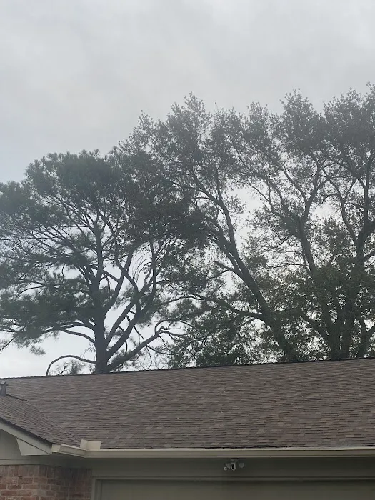 Apollo Roofing Picture 1