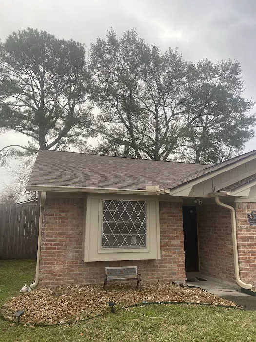 Apollo Roofing Picture 3