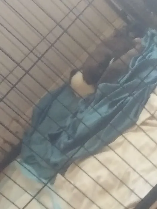 JIMENEZ GENERAL CONTRACTORS Picture 1