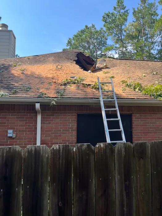 Bare Roofing Picture 2