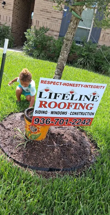 Lifeline Roofing Systems Picture 1