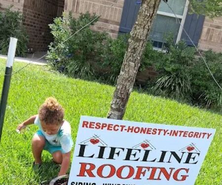 Lifeline Roofing Systems