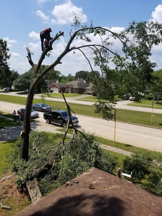 Abbott Roofing Company Picture 8