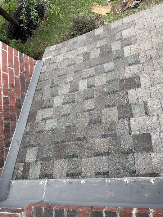 Roof Runners Picture 8