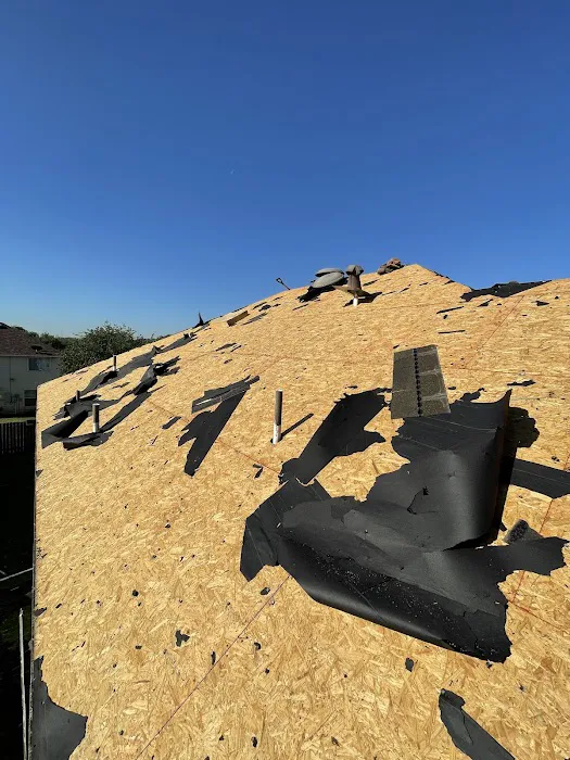 Roof Runners Picture 2