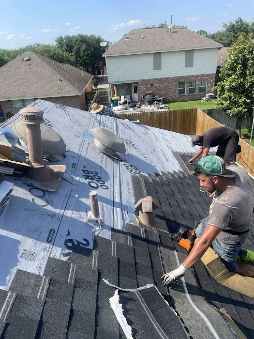 Roof Runners Picture 10