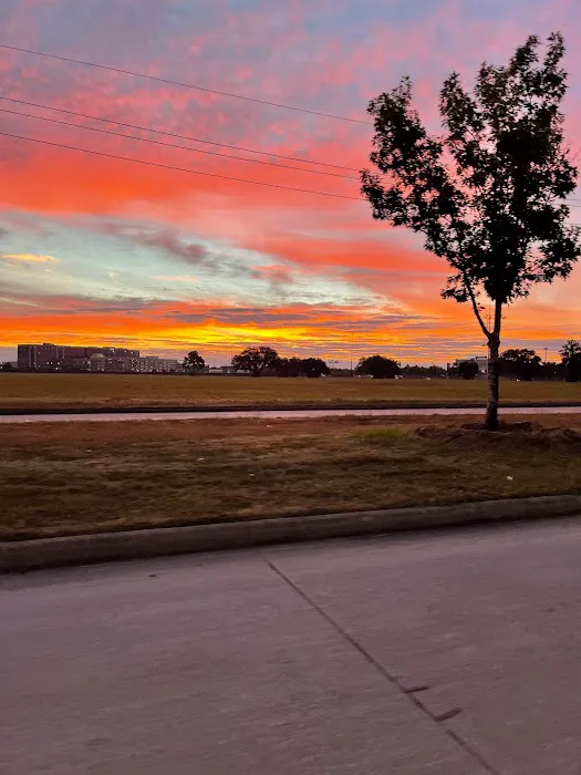 P.A.I. Restoration Picture 3