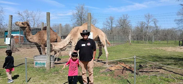 DoubleHorn Roofing & Construction, LLC Picture 7