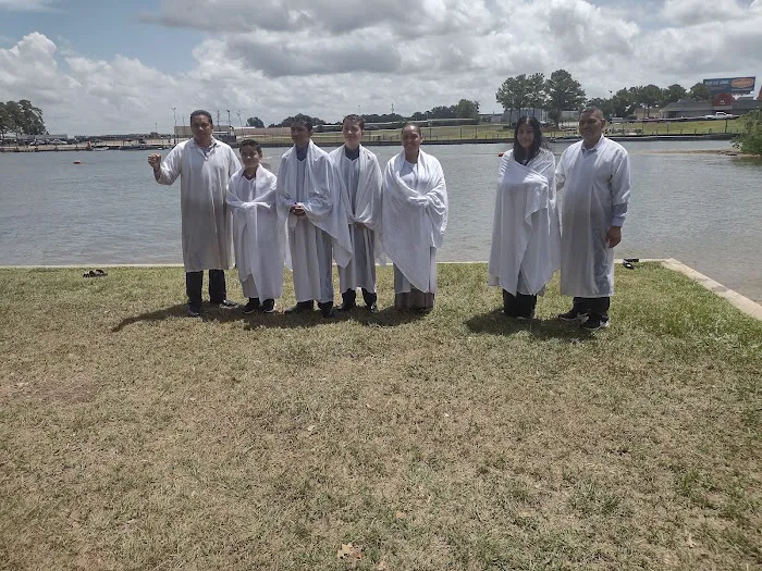 Roof Sharks Picture 1