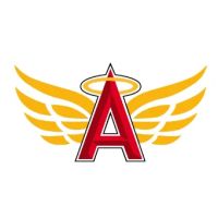 Amen Roofing & Services LLC ico