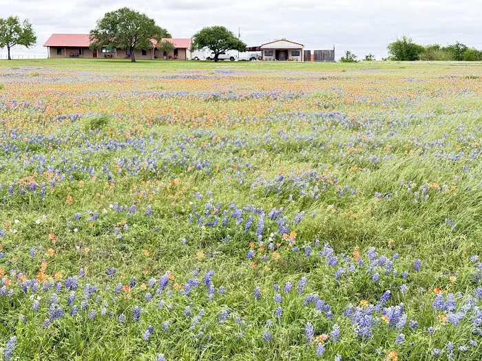 Saxon Roofing and Repair Picture 9