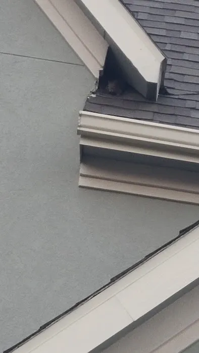 Klear Kut Roofing Solutions, LLC. Picture 10