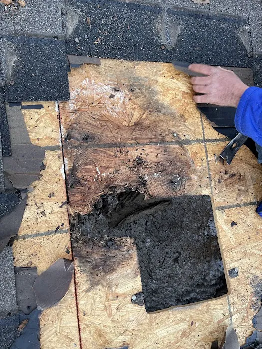 Carlos affordable roofing Picture 10