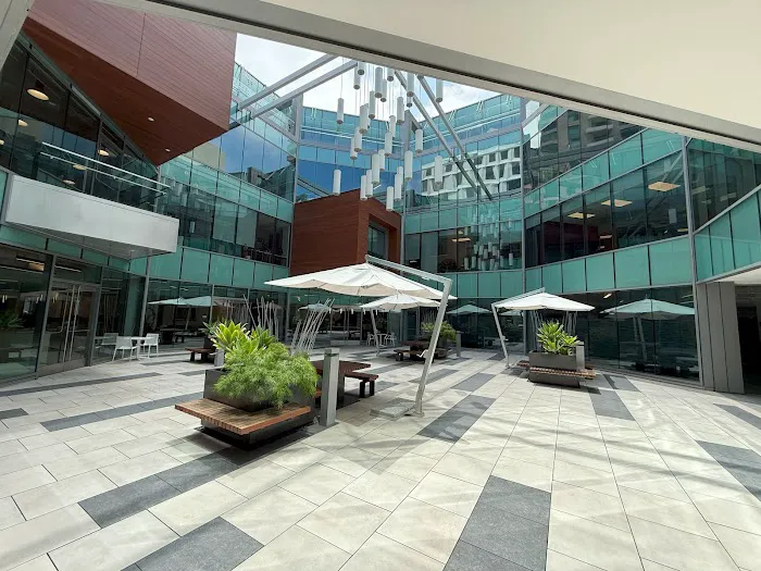 Dana Logsdon Roofing San Diego Picture 6