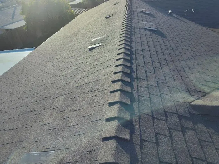 Quality Roofing Picture 2