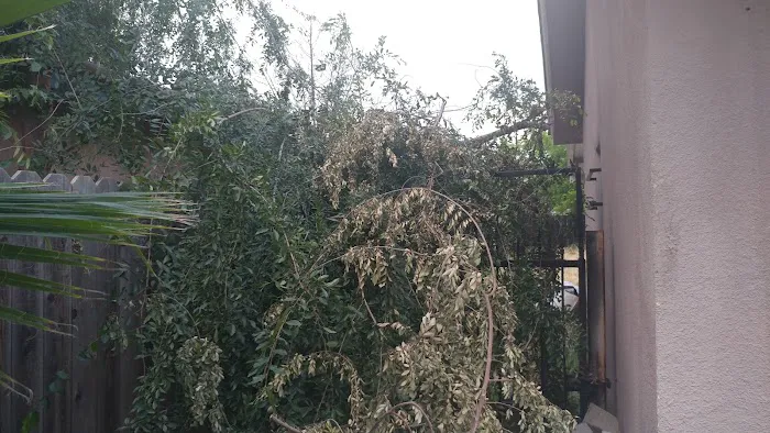 San Diego Roofing Picture 1