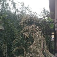 San Diego Roofing ico