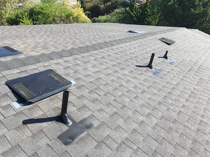 Nativo Roofing Picture 5