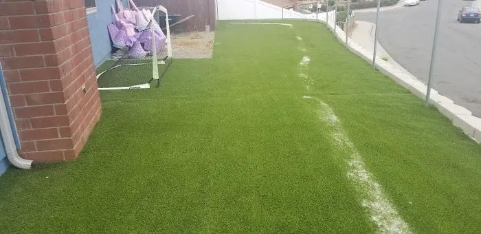 GreenLiving Picture 7