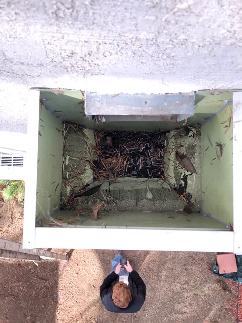 TruePeak Roofing Picture 2