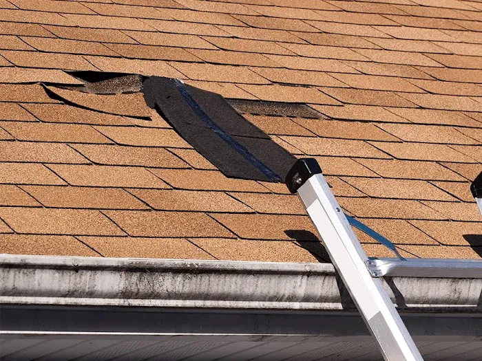 Sun Diego Roofing Picture 7