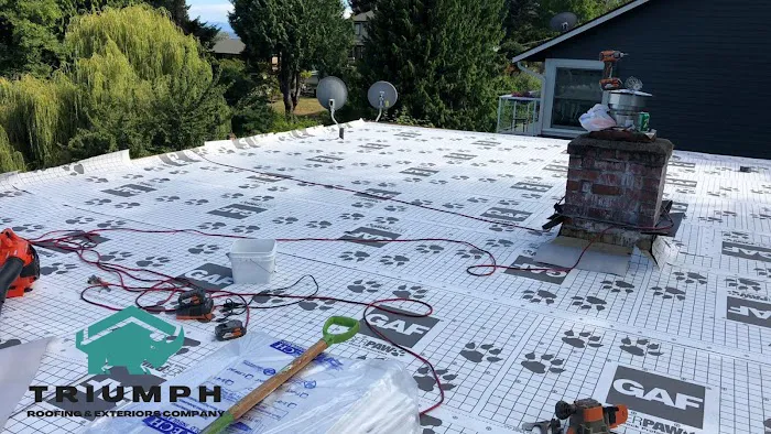 Triumph Roofing & Exterior Picture 1