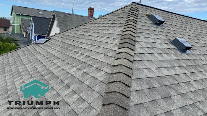 Triumph Roofing & Exterior Picture 3
