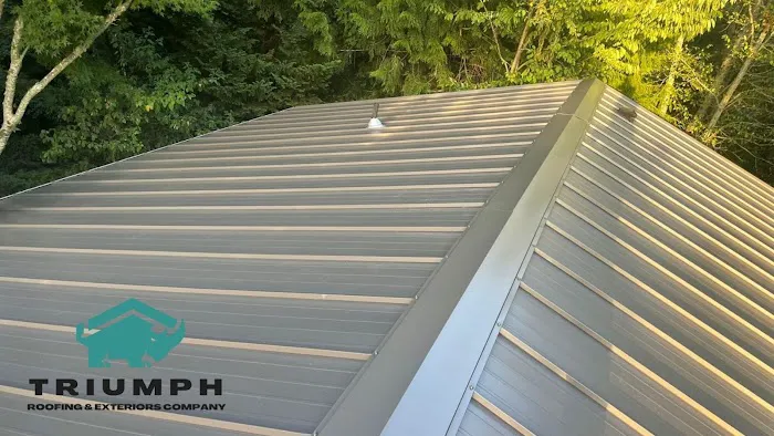Triumph Roofing & Exterior Picture 4