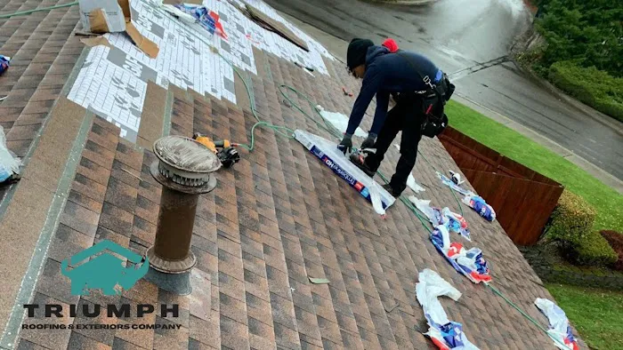 Triumph Roofing & Exterior Picture 6