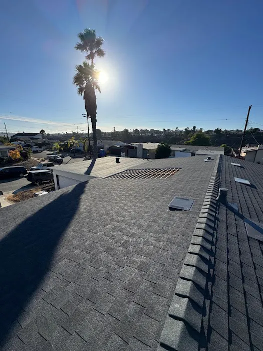 Mister Roofing INC Picture 4