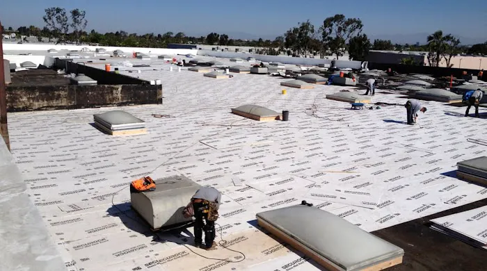 Alta Roofing & Waterproofing Picture 2