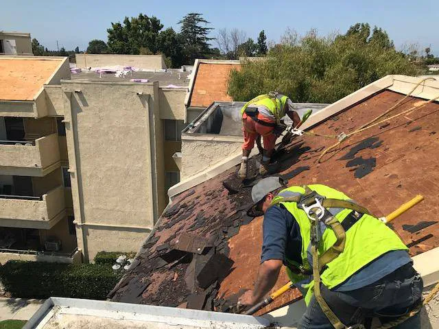 Alta Roofing & Waterproofing Picture 1