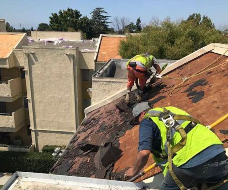 Alta Roofing & Waterproofing
