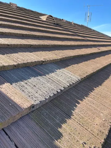 Premium Roof Services, Inc. Picture 2