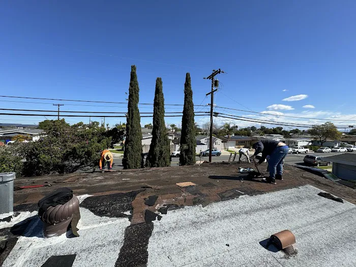 Shieldroof Services Picture 1