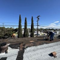 Shieldroof Services ico