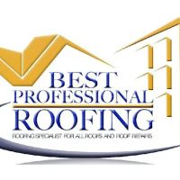 Best Professional Roofing ico