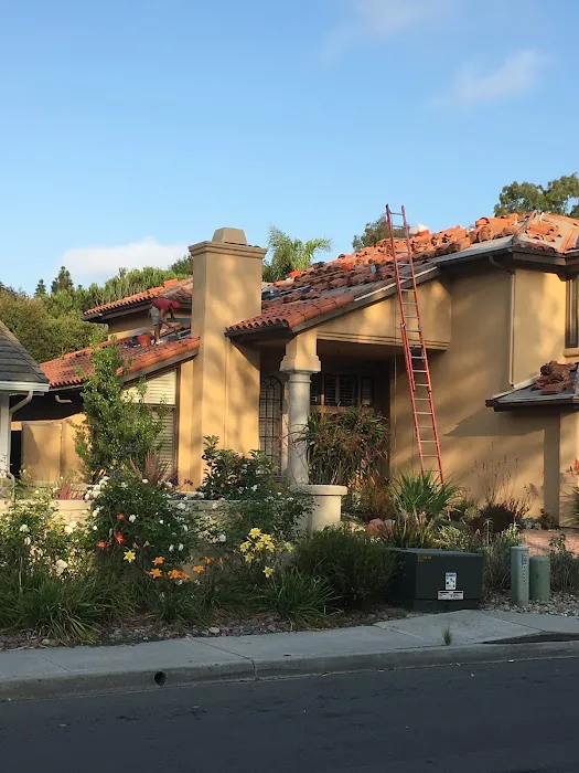 Richardson Roofing Picture 9