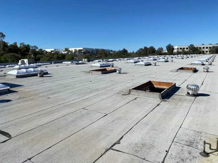 R L Scott and Son Roofing Picture 3